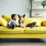 Happy Child Sitting on Yellow Sofa With Pets
